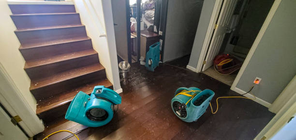 Best Flood damage cleanup  in Heath, TX