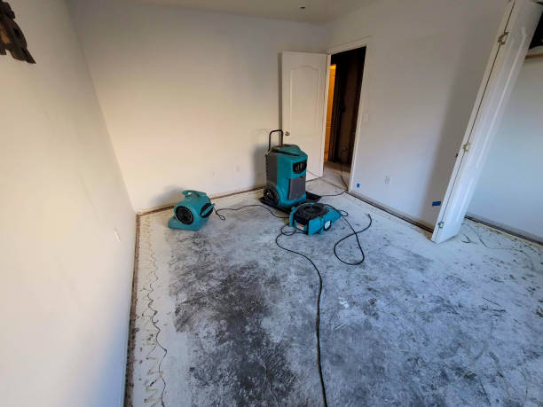 Best Water damage repair service  in Heath, TX
