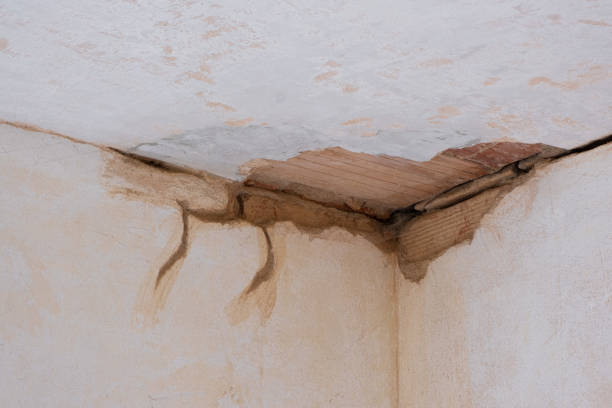 Best Professional water damage repair  in Heath, TX